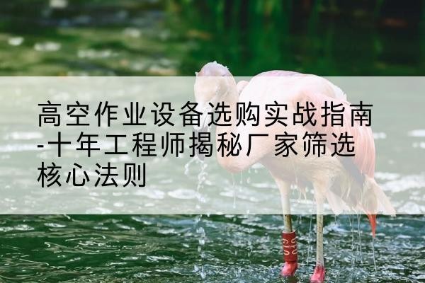 宁明剪叉式升降机厂家-高空作业设备选购实战指南-十年工程师揭秘厂家筛选核心法则