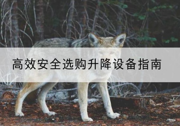 宁明升降货梯厂家推荐-*安全选购升降设备指南