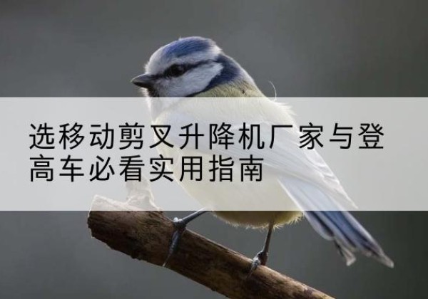 宁明电动升降机厂家-选移动剪叉升降机厂家与登高车必看实用指南