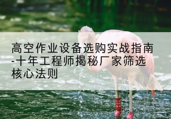 宁明剪叉式升降机厂家-高空作业设备选购实战指南-十年工程师揭秘厂家筛选核心法则